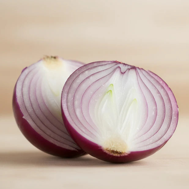 ONION BULB FERMENT